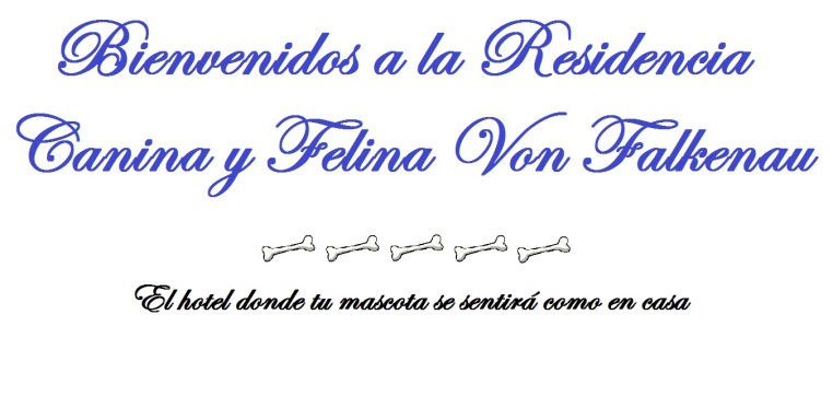 El hotel de 5 estrellas para tu mascota