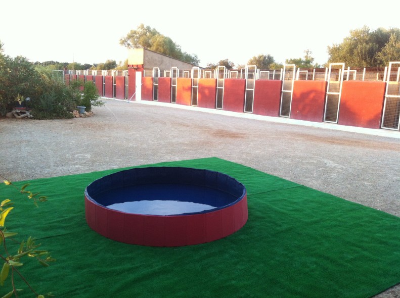 Piscina en la Residencia Canina Von Falkenau