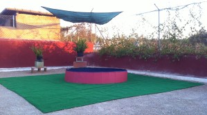 Piscina para perros