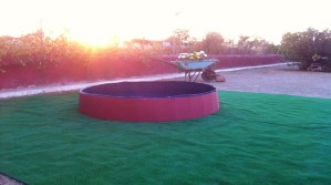 Puesta de sol desde la piscina para perros